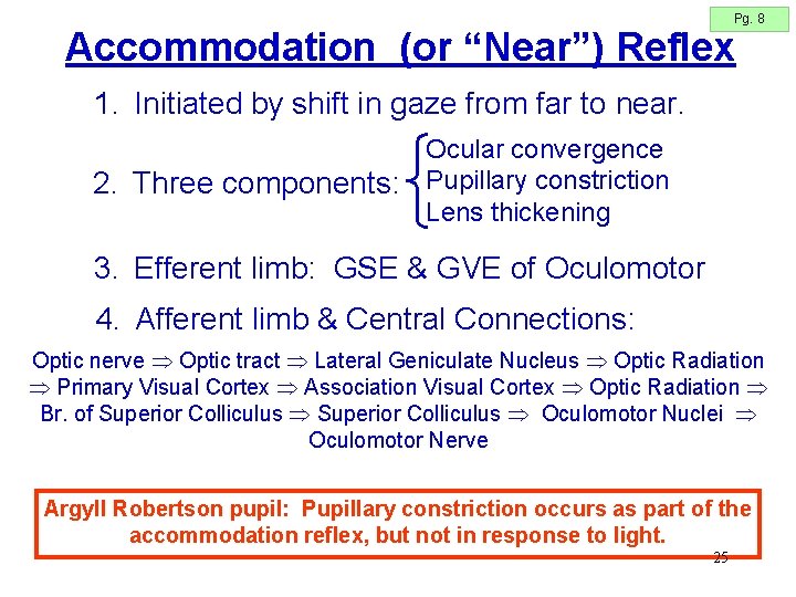 Pg. 8 Accommodation (or “Near”) Reflex 1. Initiated by shift in gaze from far Pg. 8 Accommodation (or “Near”) Reflex 1. Initiated by shift in gaze from far