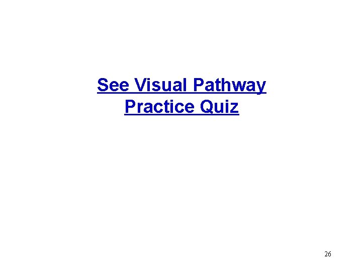 See Visual Pathway Practice Quiz 26 See Visual Pathway Practice Quiz 26