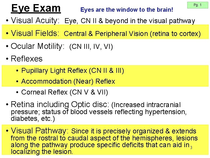 Eye Exam Eyes are the window to the brain! Pg. 1 • Visual Acuity: Eye Exam Eyes are the window to the brain! Pg. 1 • Visual Acuity: