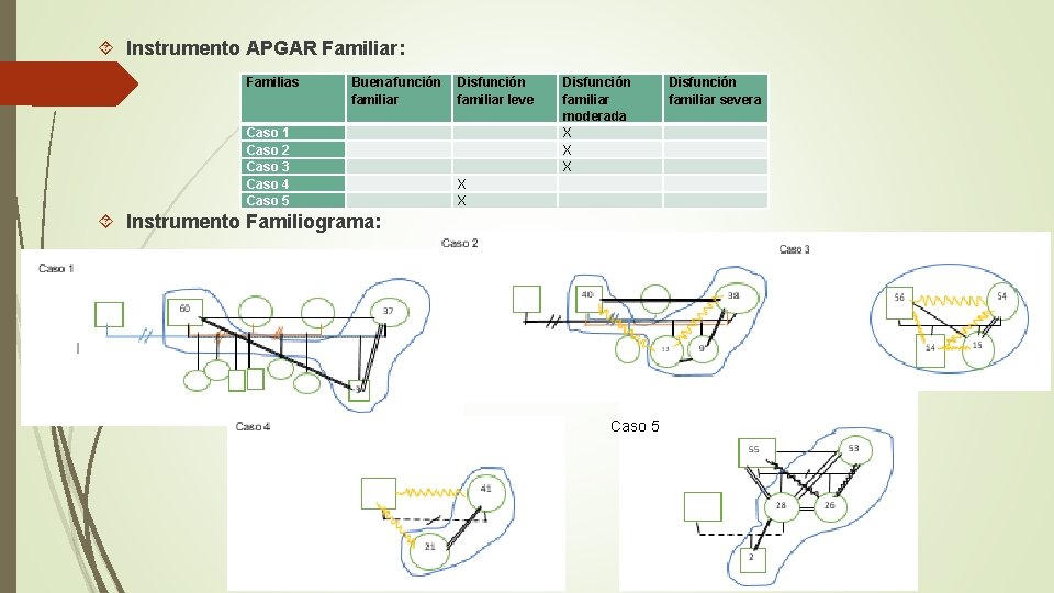 Instrumento APGAR Familiar: Familias Buena función Disfunción familiar leve Caso 1 Caso 2 Instrumento APGAR Familiar: Familias Buena función Disfunción familiar leve Caso 1 Caso 2