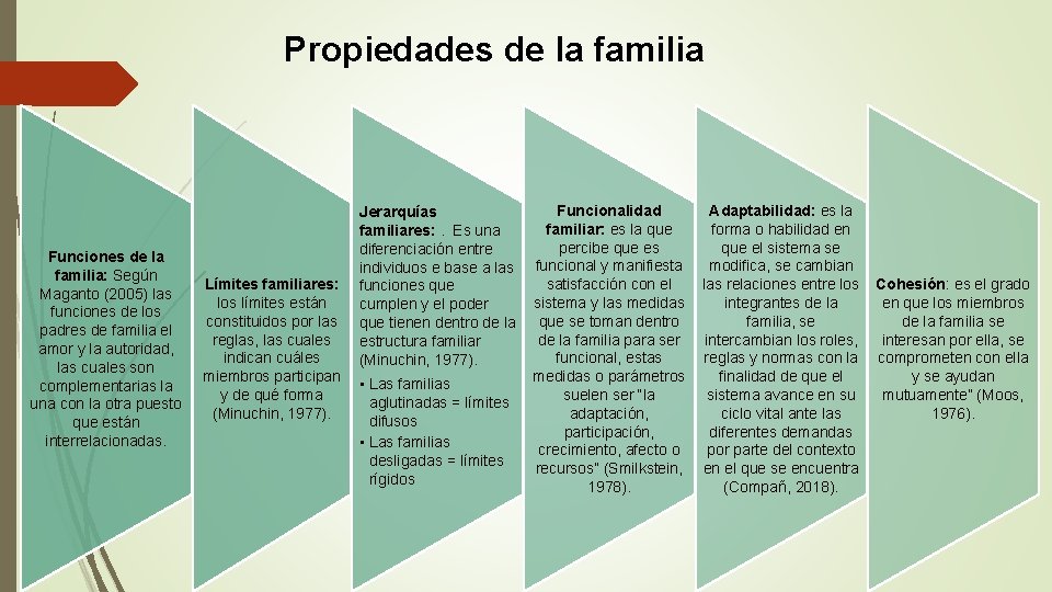 Propiedades de la familia Funciones de la familia: Según Maganto (2005) las funciones de