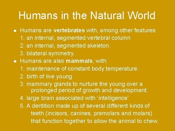 Humans in the Natural World Humans are vertebrates with, among other features: 1. an