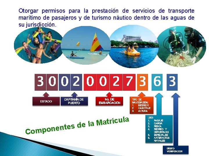 Otorgar permisos para la prestación de servicios de transporte marítimo de pasajeros y de Otorgar permisos para la prestación de servicios de transporte marítimo de pasajeros y de