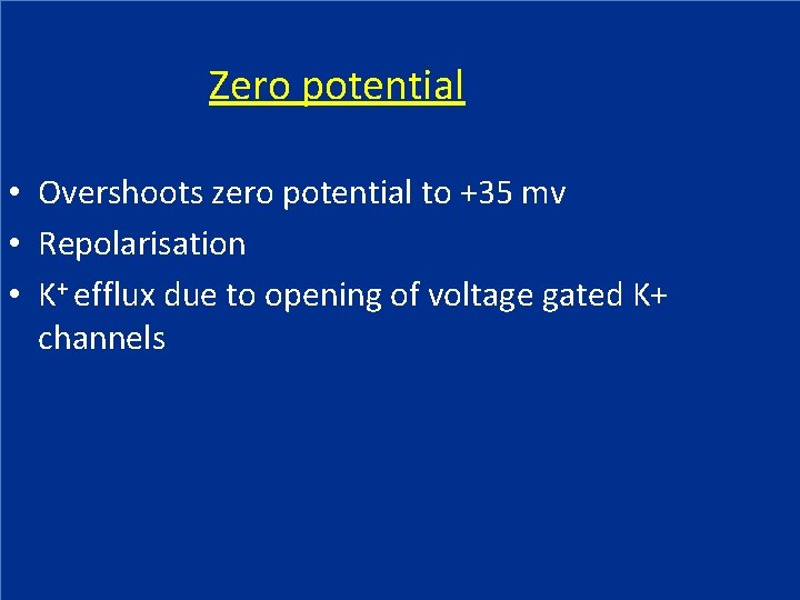 Zero potential • Overshoots zero potential to +35 mv • Repolarisation • K+ efflux