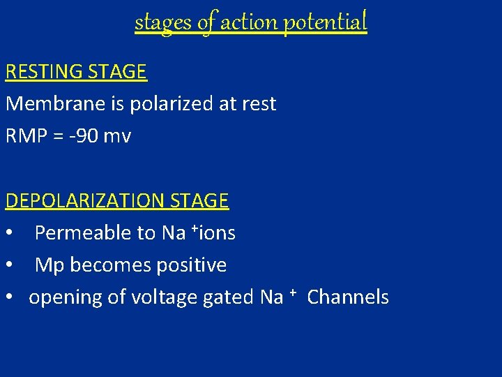 stages of action potential RESTING STAGE Membrane is polarized at rest RMP = -90