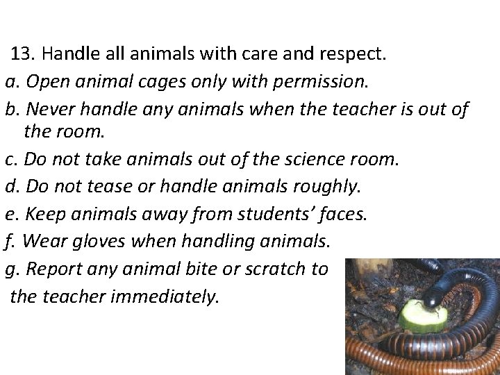 13. Handle all animals with care and respect. a. Open animal cages only with
