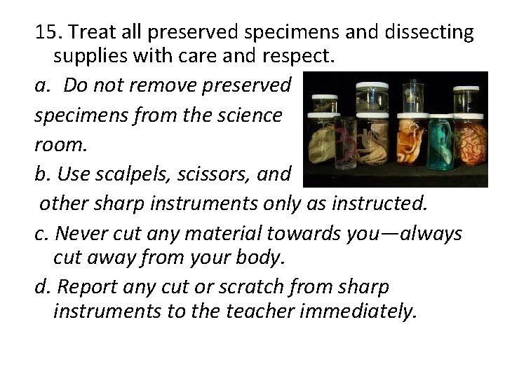 15. Treat all preserved specimens and dissecting supplies with care and respect. a. Do