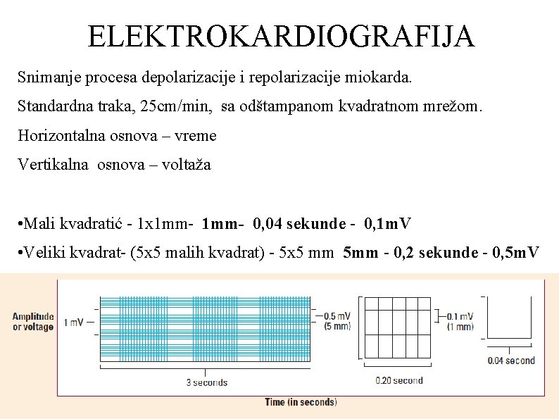 ELEKTROKARDIOGRAFIJA Snimanje procesa depolarizacije i repolarizacije miokarda. Standardna traka, 25 cm/min, sa odštampanom kvadratnom ELEKTROKARDIOGRAFIJA Snimanje procesa depolarizacije i repolarizacije miokarda. Standardna traka, 25 cm/min, sa odštampanom kvadratnom