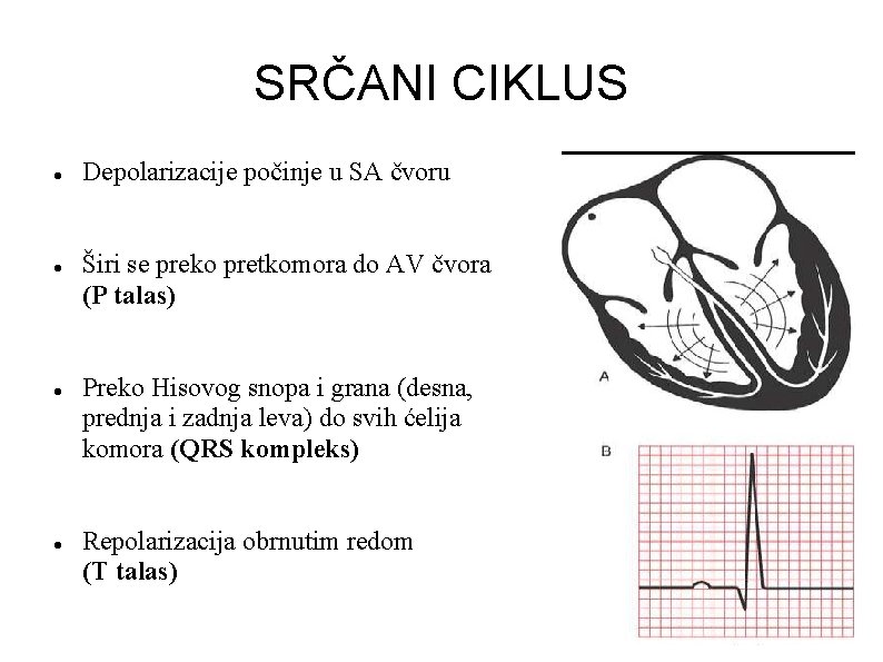 SRČANI CIKLUS Depolarizacije počinje u SA čvoru Širi se preko pretkomora do AV čvora