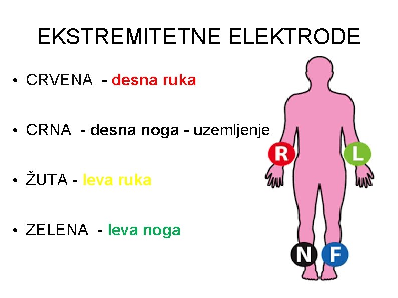 EKSTREMITETNE ELEKTRODE • CRVENA - desna ruka • CRNA - desna noga - uzemljenje