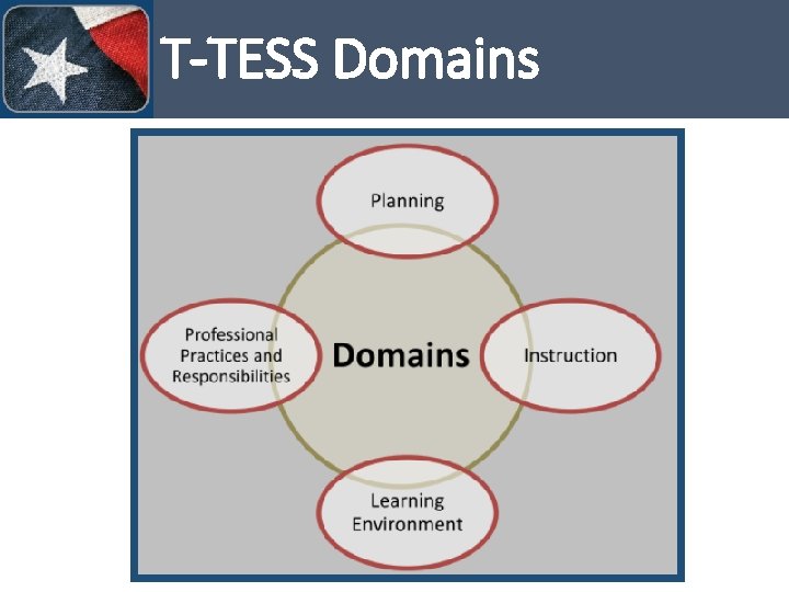 T-TESS Domains 