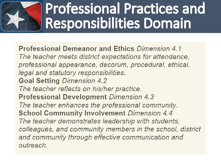 Professional Practices and Responsibilities Domain 