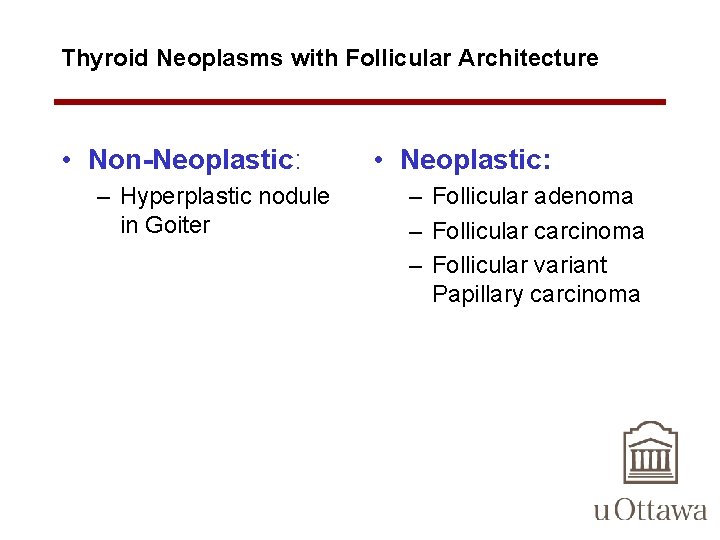 Thyroid Neoplasms with Follicular Architecture • Non-Neoplastic: – Hyperplastic nodule in Goiter • Neoplastic: