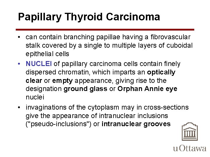 Papillary Thyroid Carcinoma • can contain branching papillae having a fibrovascular stalk covered by