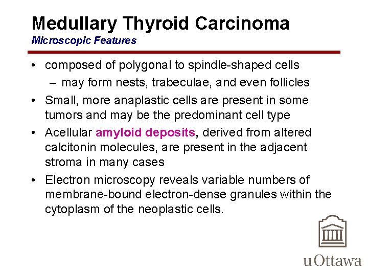 Medullary Thyroid Carcinoma Microscopic Features • composed of polygonal to spindle-shaped cells – may