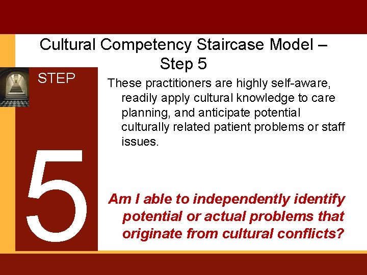 Cultural Competency Staircase Model – Step 5 STEP 5 These practitioners are highly self-aware,