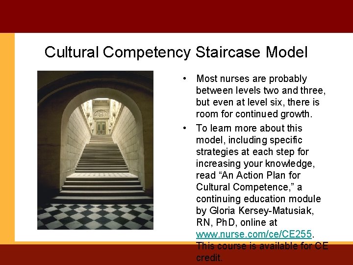 Cultural Competency Staircase Model • Most nurses are probably between levels two and three,