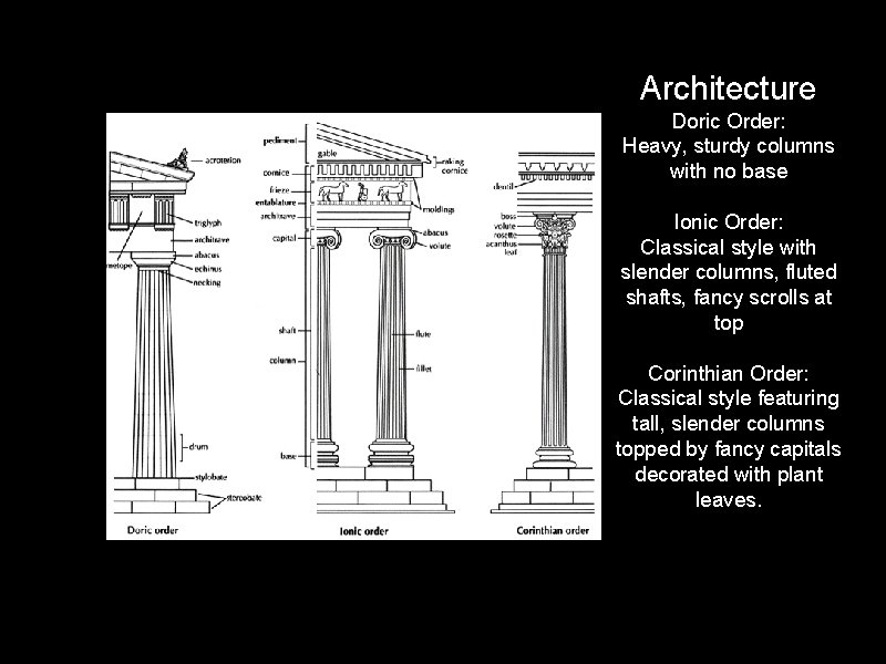 Architecture Doric Order: Heavy, sturdy columns with no base Ionic Order: Classical style with