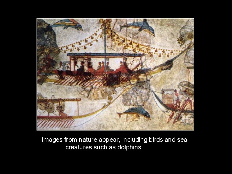 Images from nature appear, including birds and sea creatures such as dolphins. 