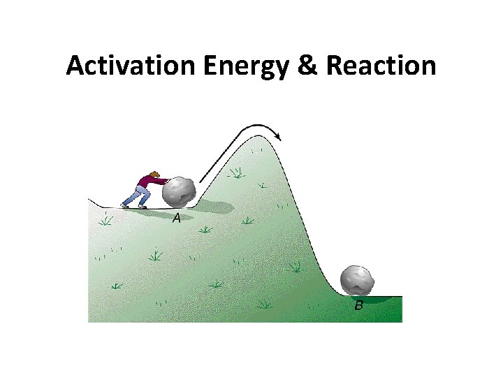 Activation Energy & Reaction 