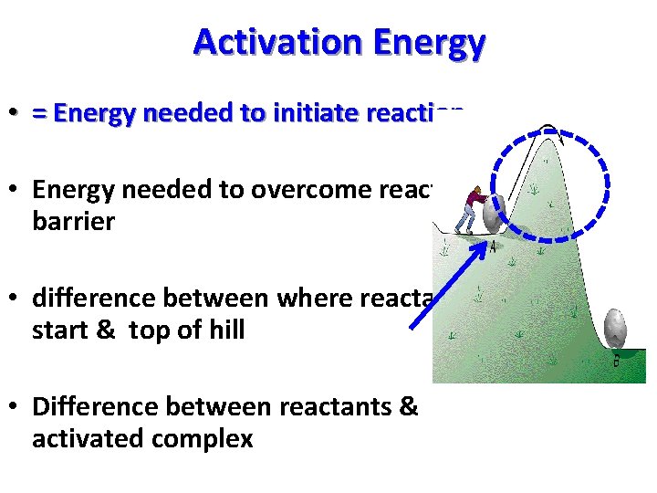 Activation Energy • = Energy needed to initiate reaction • Energy needed to overcome