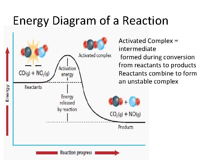 Energy Diagram of a Reaction Activated Complex = intermediate formed during conversion from reactants