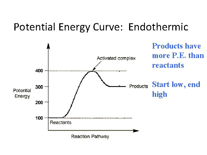 Potential Energy Curve: Endothermic Products have more P. E. than reactants Start low, end