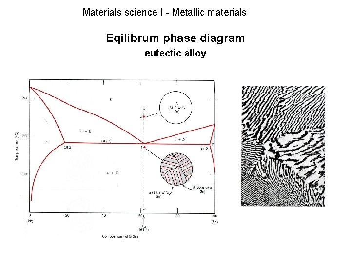 Materials science I - Metallic materials Eqilibrum phase diagram eutectic alloy 