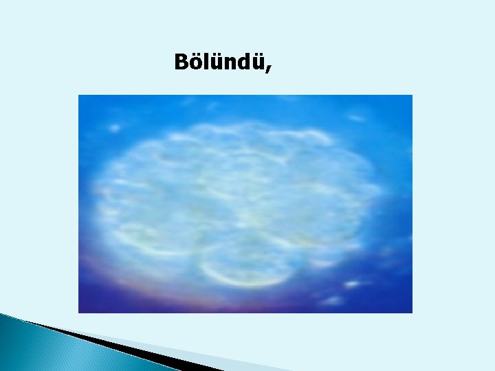 Bölündü, 