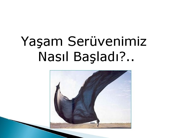 Yaşam Serüvenimiz Nasıl Başladı? . . 