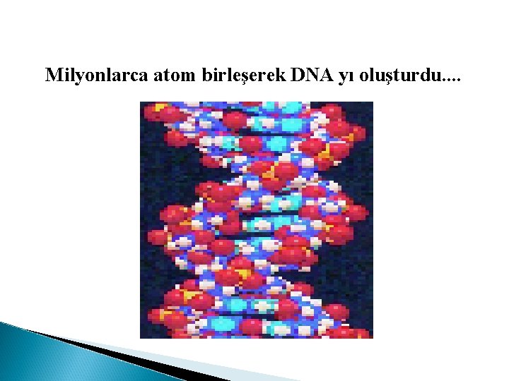 Milyonlarca atom birleşerek DNA yı oluşturdu. . 