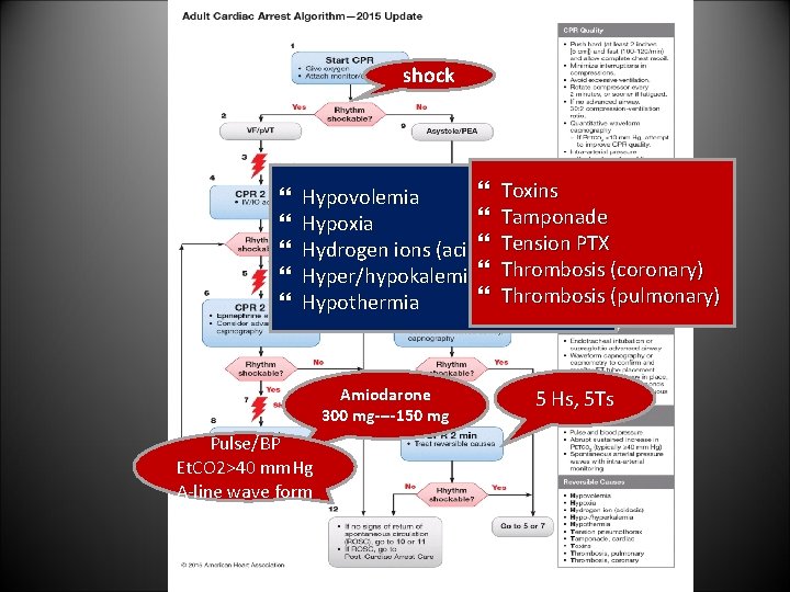 shock Toxins Hypovolemia Tamponade Hypoxia Tension PTX Hydrogen ions (acidosis) Hyper/hypokalemia Thrombosis (coronary) Thrombosis