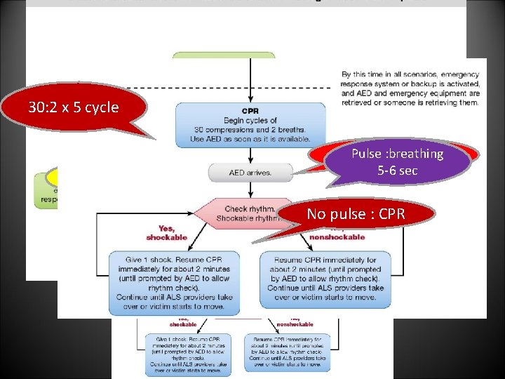 30: 2 x 5 cycle Breathing and pulse unresponsesive Pulse : breathing Call for