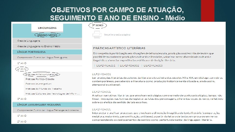 OBJETIVOS POR CAMPO DE ATUAÇÃO, SEGUIMENTO E ANO DE ENSINO - Médio 