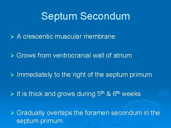 Septum Secondum Ø A crescentic muscular membrane Ø Grows from ventrocranial wall of atrium