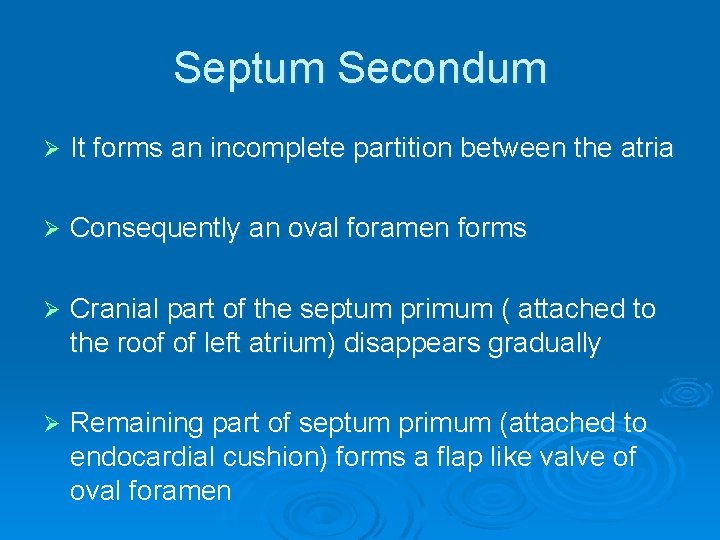 Septum Secondum Ø It forms an incomplete partition between the atria Ø Consequently an