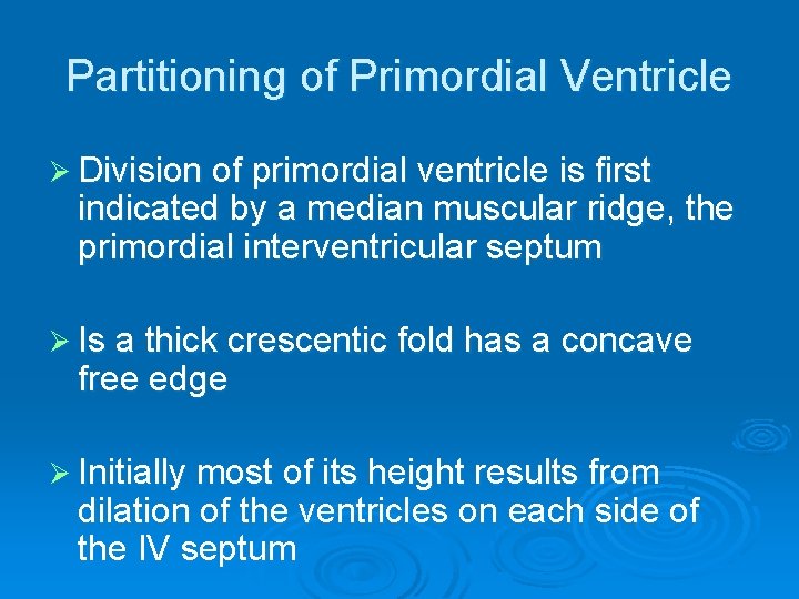 Partitioning of Primordial Ventricle Ø Division of primordial ventricle is first indicated by a