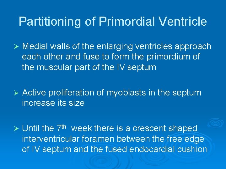 Partitioning of Primordial Ventricle Ø Medial walls of the enlarging ventricles approach each other