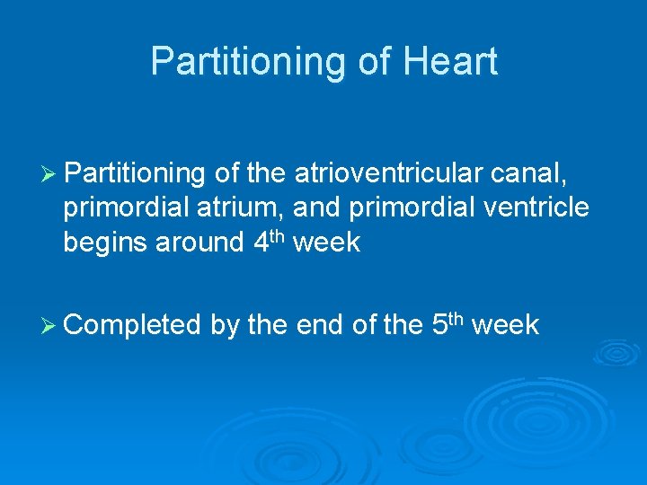 Partitioning of Heart Ø Partitioning of the atrioventricular canal, primordial atrium, and primordial ventricle