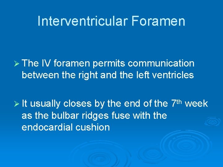 Interventricular Foramen Ø The IV foramen permits communication between the right and the left