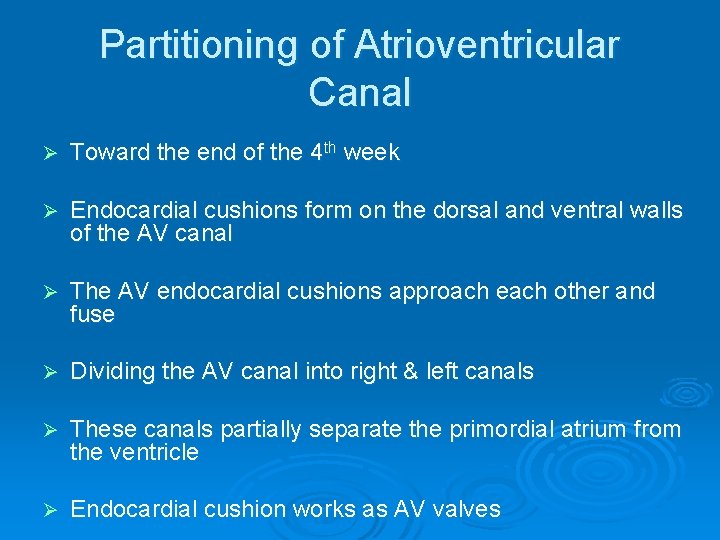 Partitioning of Atrioventricular Canal Ø Toward the end of the 4 th week Ø