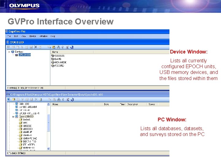 GVPro Interface Overview Device Window: Lists all currently configured EPOCH units, USB memory devices,