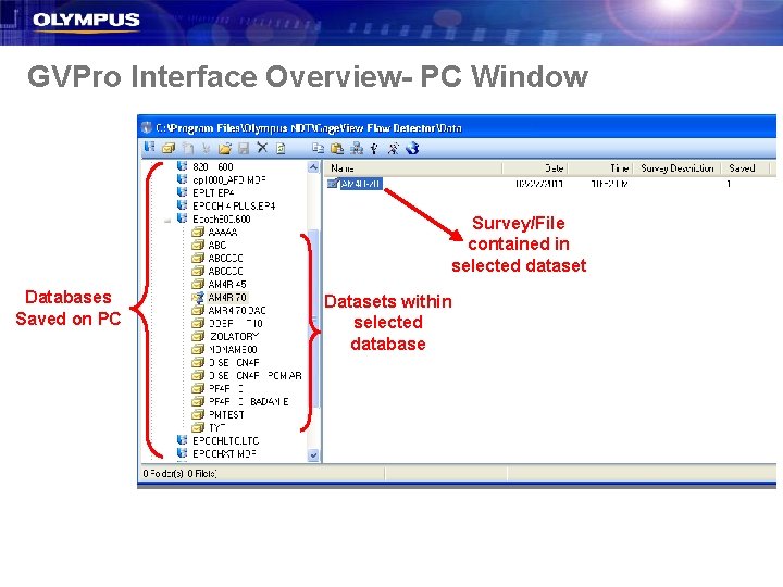 GVPro Interface Overview- PC Window Survey/File contained in selected dataset Databases Saved on PC