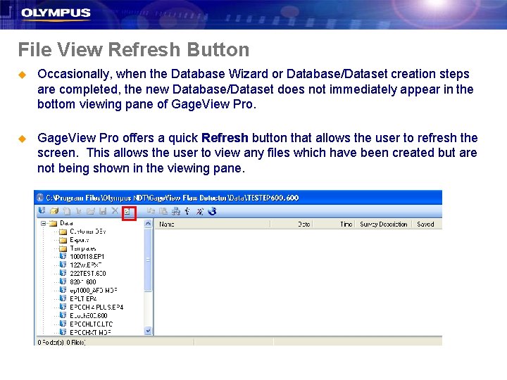 File View Refresh Button u Occasionally, when the Database Wizard or Database/Dataset creation steps