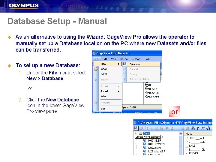 Database Setup - Manual u As an alternative to using the Wizard, Gage. View