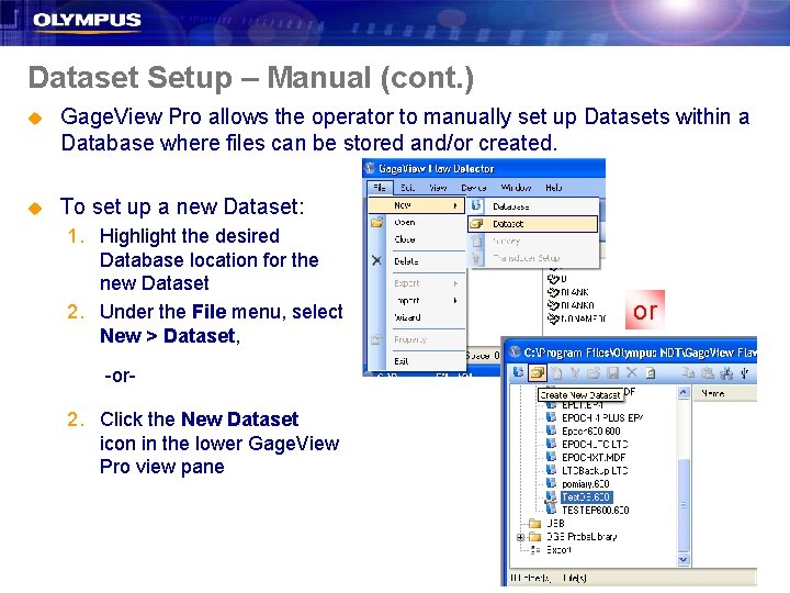 Dataset Setup – Manual (cont. ) u Gage. View Pro allows the operator to