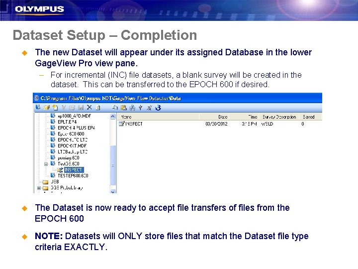 Dataset Setup – Completion u The new Dataset will appear under its assigned Database