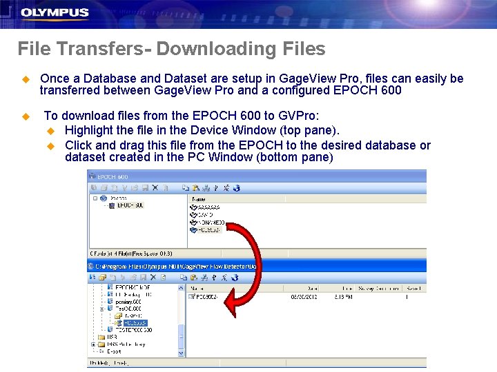 File Transfers- Downloading Files u u Once a Database and Dataset are setup in