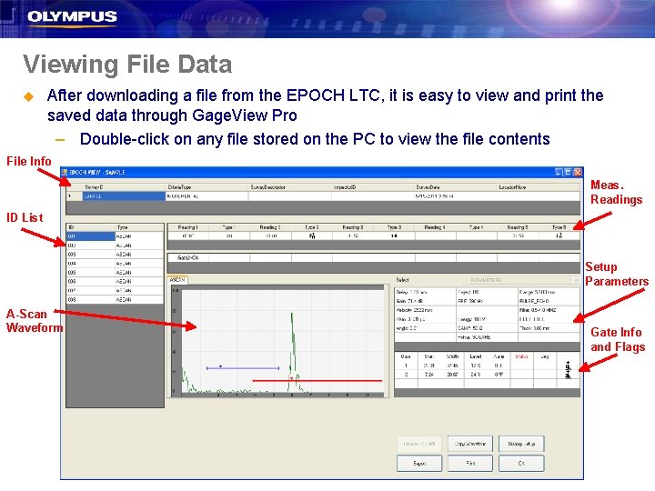 Viewing File Data u After downloading a file from the EPOCH LTC, it is