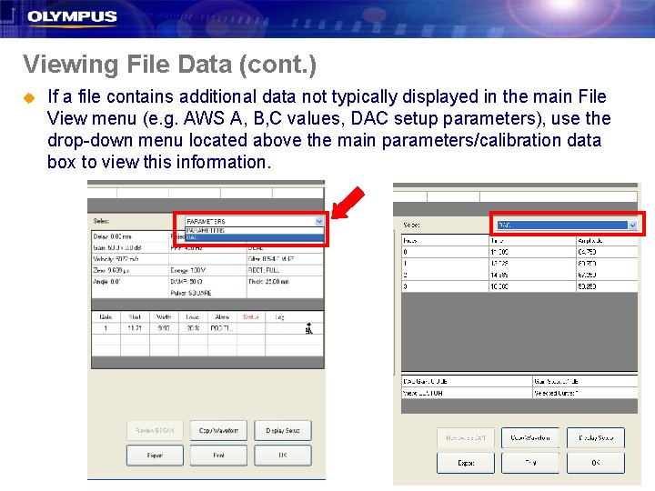 Viewing File Data (cont. ) u If a file contains additional data not typically